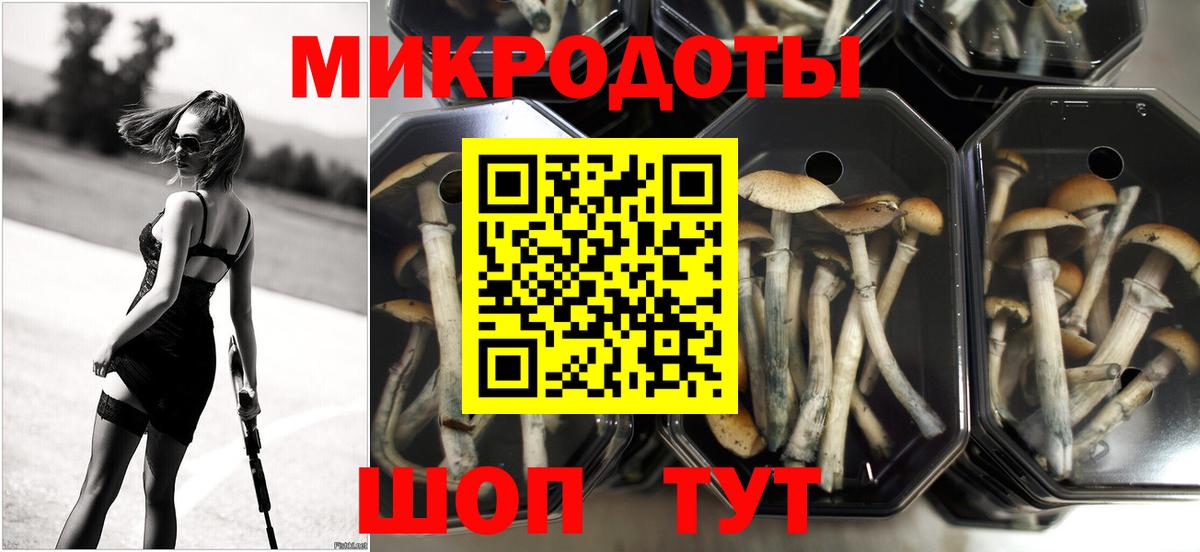 Кстово  Галлюциногенные грибы GOLDEN TEACHER  Галлюциногенные грибы ЛСД  Вход с VPN 